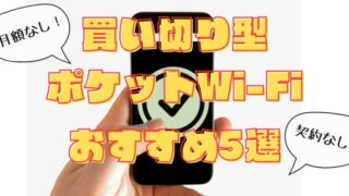 買い切り型ポケットWi-Fiで1年使えるデータ容量を手に入れよう！ 