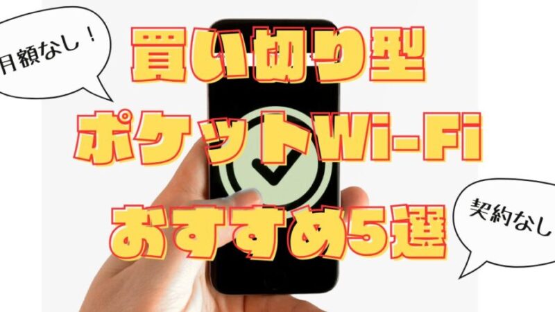 買い切り型ポケットWi-Fiで1年使えるデータ容量を手に入れよう！ 